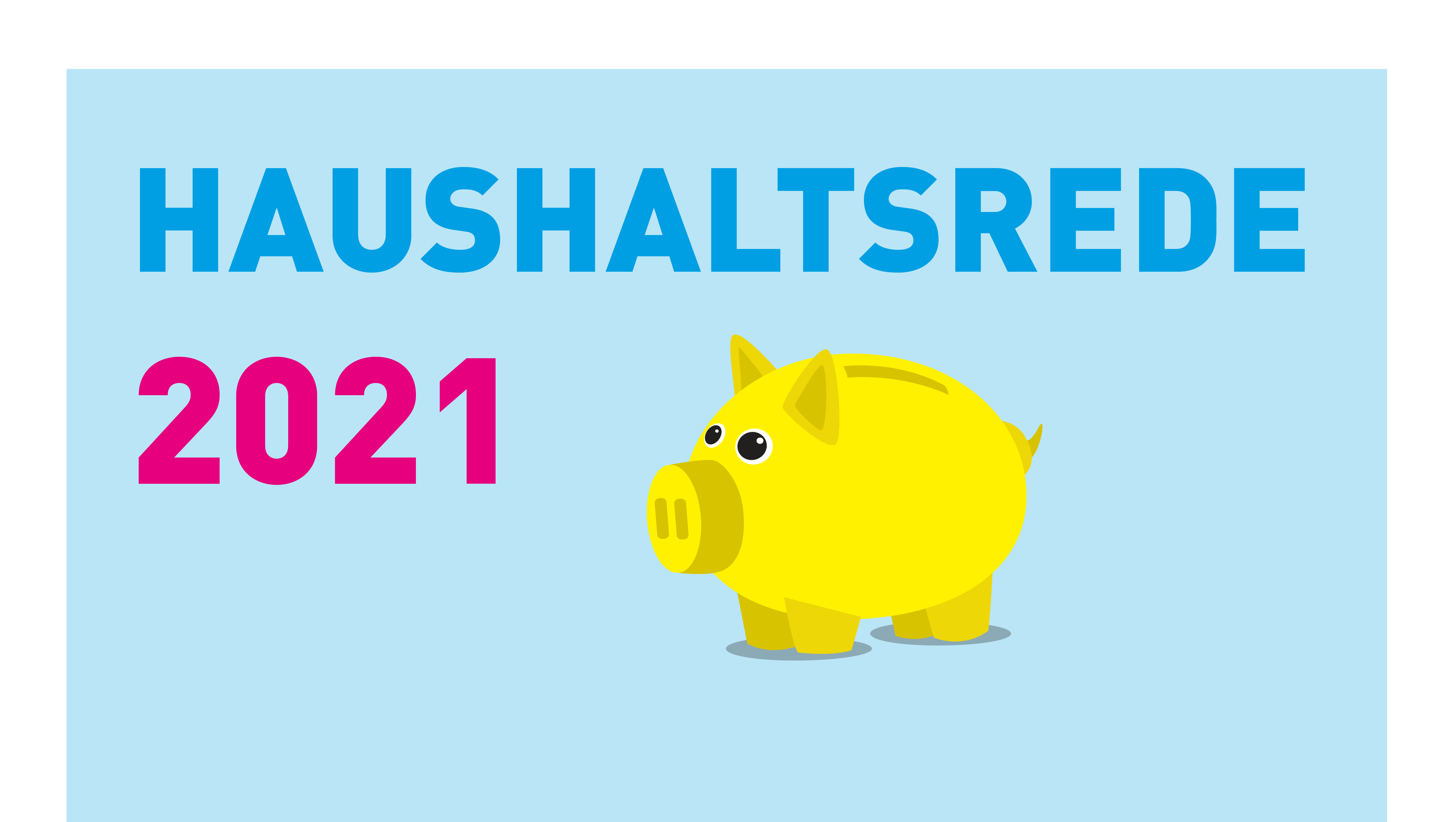 fdp geld sparschwein haushaltsrede 2021