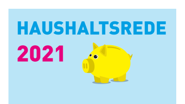 fdp geld sparschwein haushaltsrede 2021